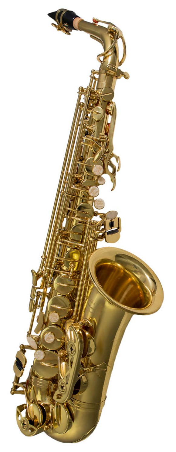 Elkhart 100AS Student Alto Sax Outfit